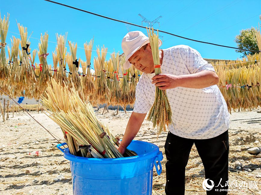 幸福生活曬出來。人民網(wǎng) 李海霞攝