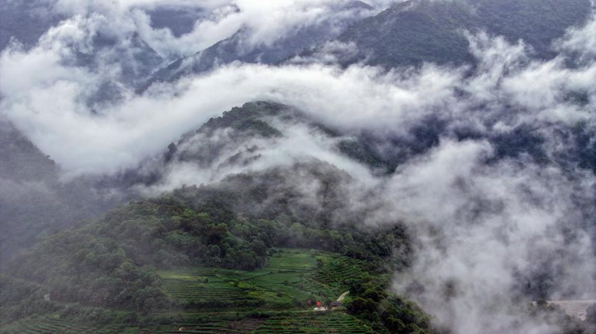 秋日里的墨脫云海。張澤坤攝