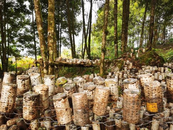 幾代建設(shè)者，歷經(jīng)半個多世紀(jì)完成！這是一條怎樣的公路？