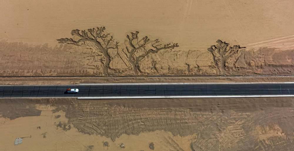 位于國(guó)道216沿線的“大地之樹”。邊巴多吉攝