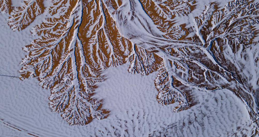 栩栩如生的枝干。邊巴多吉攝