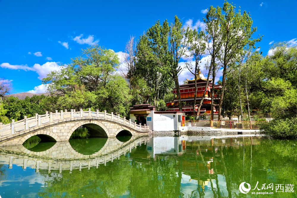 公園內(nèi)綠意盎然。