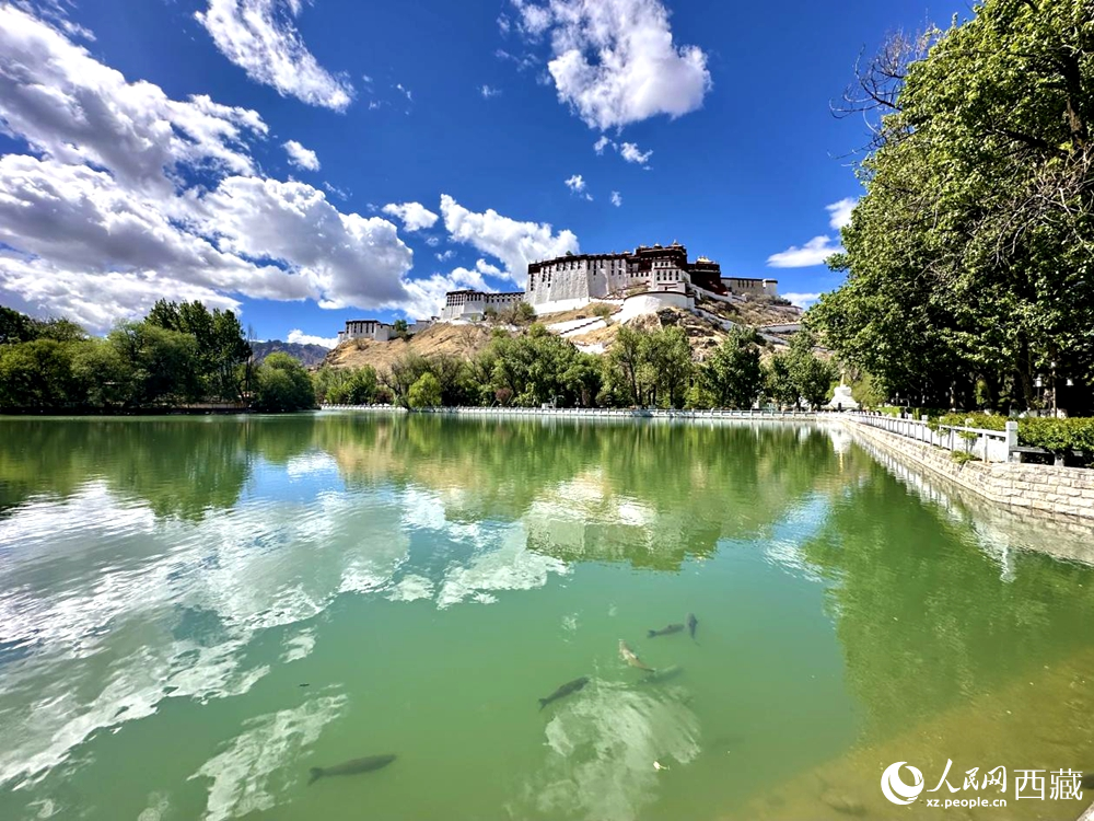 公園一角。