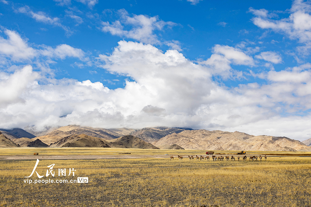 西藏阿里:高原公路建設忙【10】