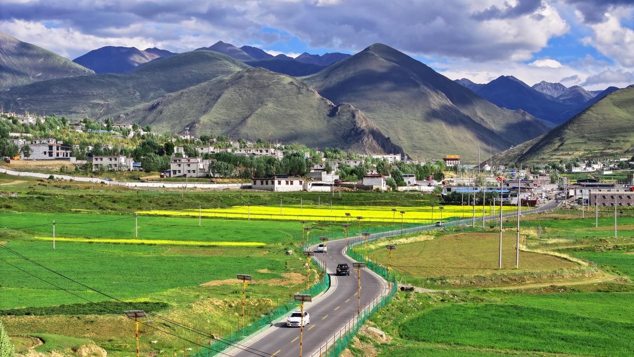 油菜花開“金”滿地。墨竹工卡縣委宣傳部 洛克攝