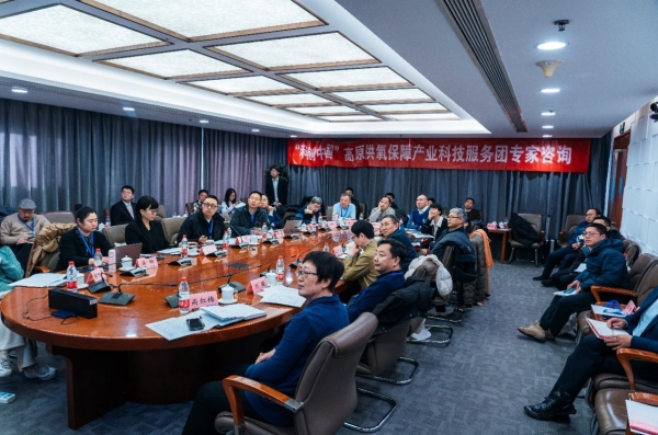 專(zhuān)家把脈西藏氧產(chǎn)業(yè)：高原旅游亟需突破“氧瓶頸”