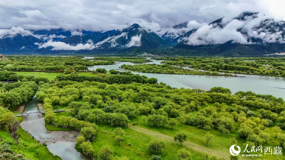 鳥瞰盛夏季節(jié)的雅尼濕地風(fēng)光。人民網(wǎng)記者 次仁羅布攝