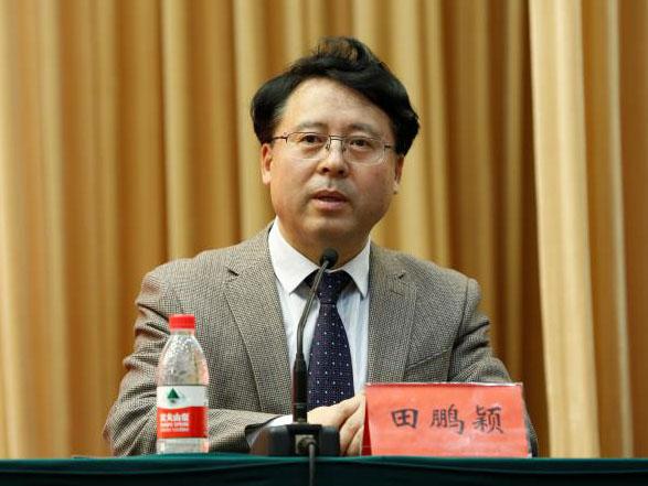 田鵬穎：投入其中、樂在其中、安身其中