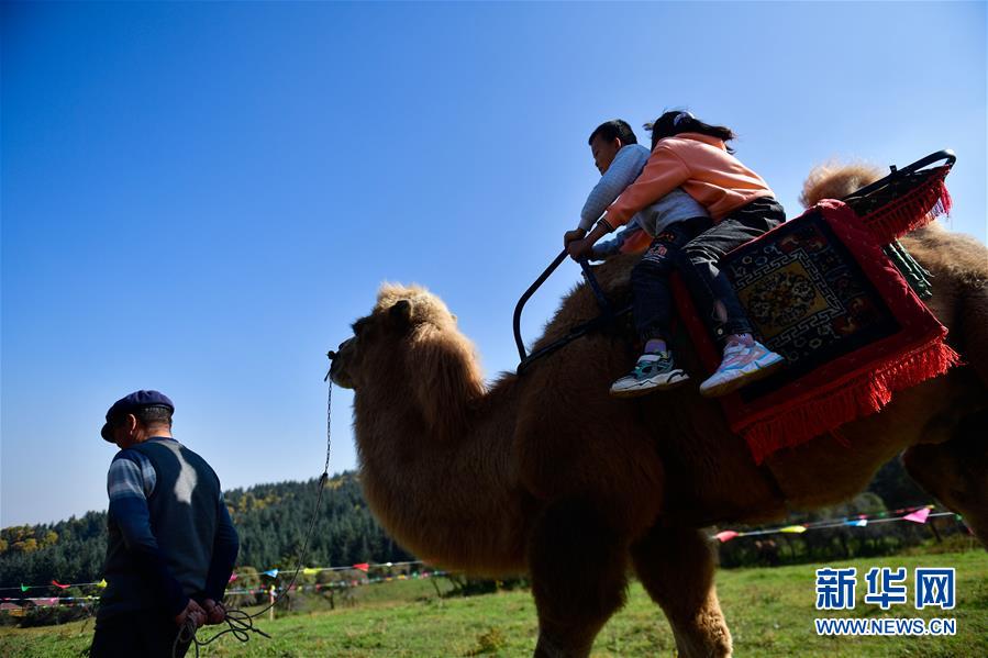 （全面建成小康社會“百城千縣萬村調(diào)研行”·圖文互動(dòng)）（7）青海卡陽村：“光棍村”的華麗轉(zhuǎn)身