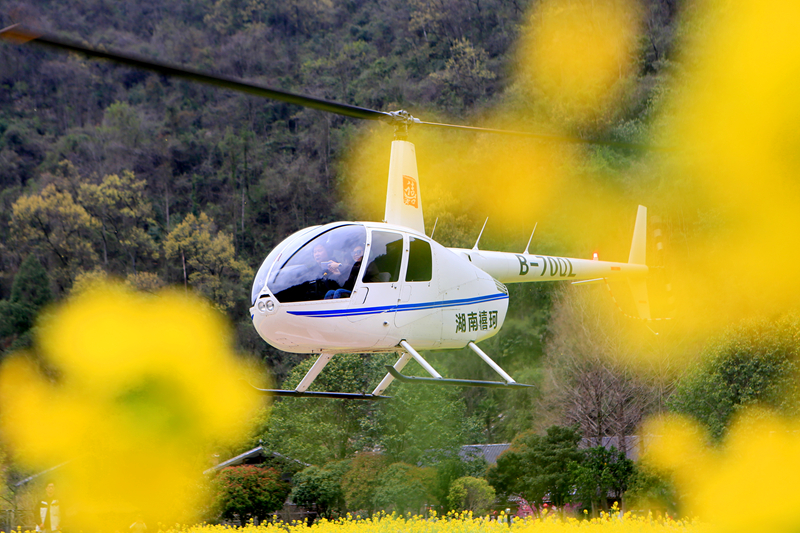 張家界黃龍洞：直升機(jī)游受青睞 三月春光醉四海